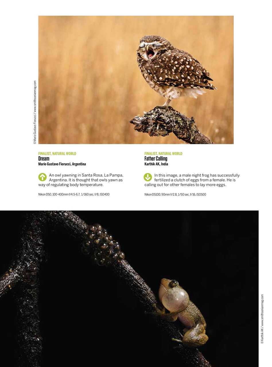 N-Photo Preview Pages