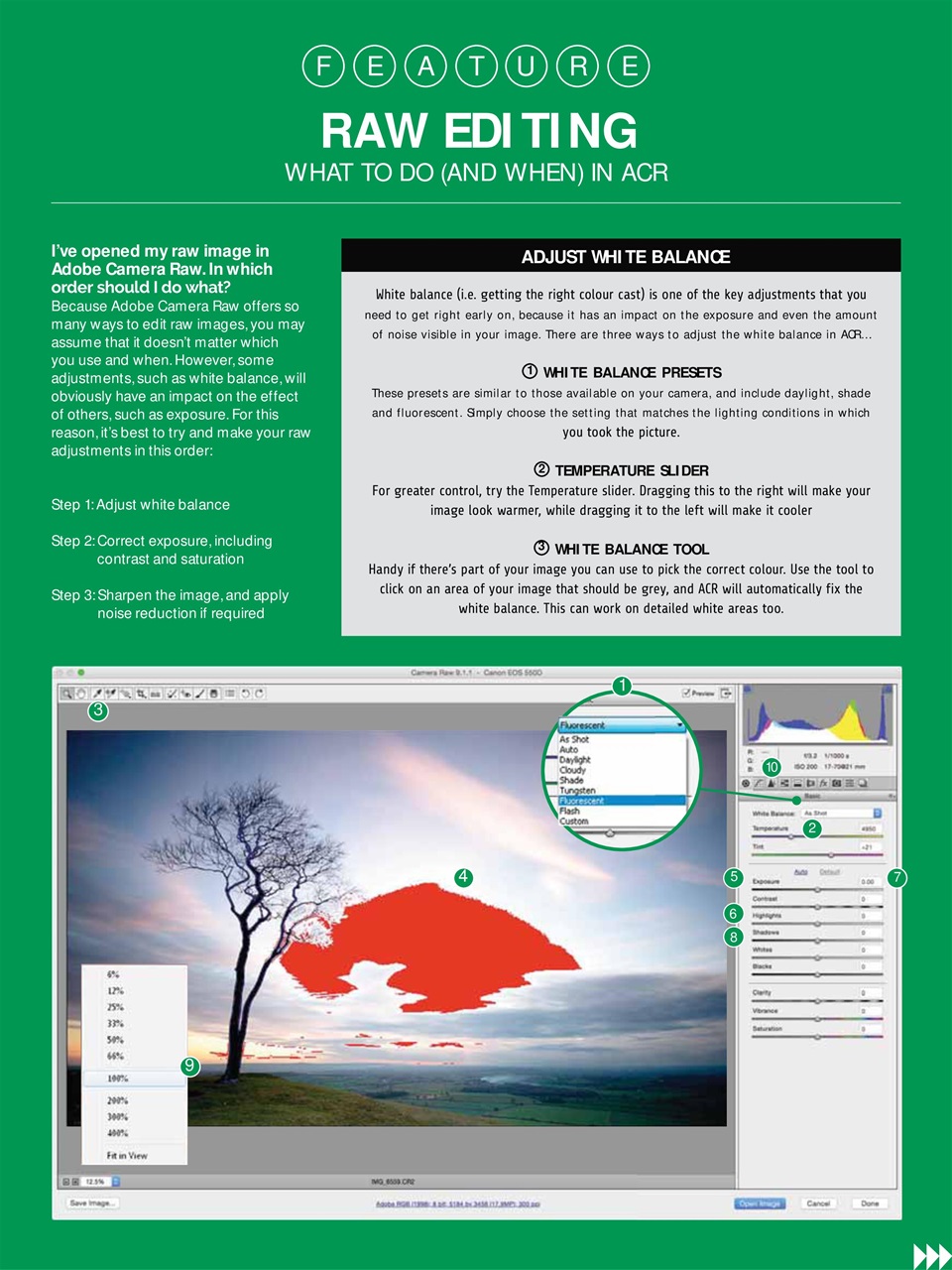 Photography Week Preview Pages