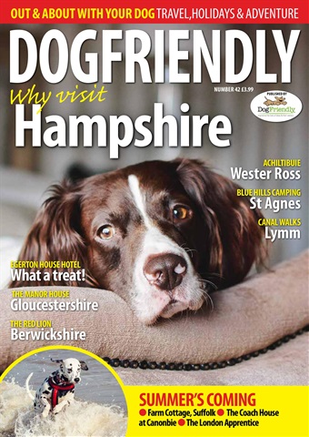 Dog Friendly issue May-Jun 17