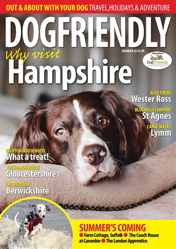 Dog Friendly issue 