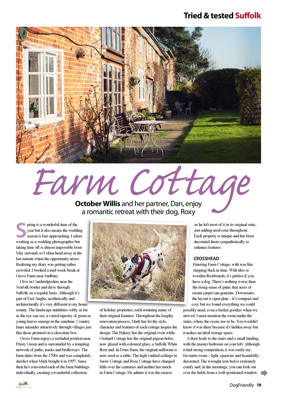 Dog Friendly Preview Pages