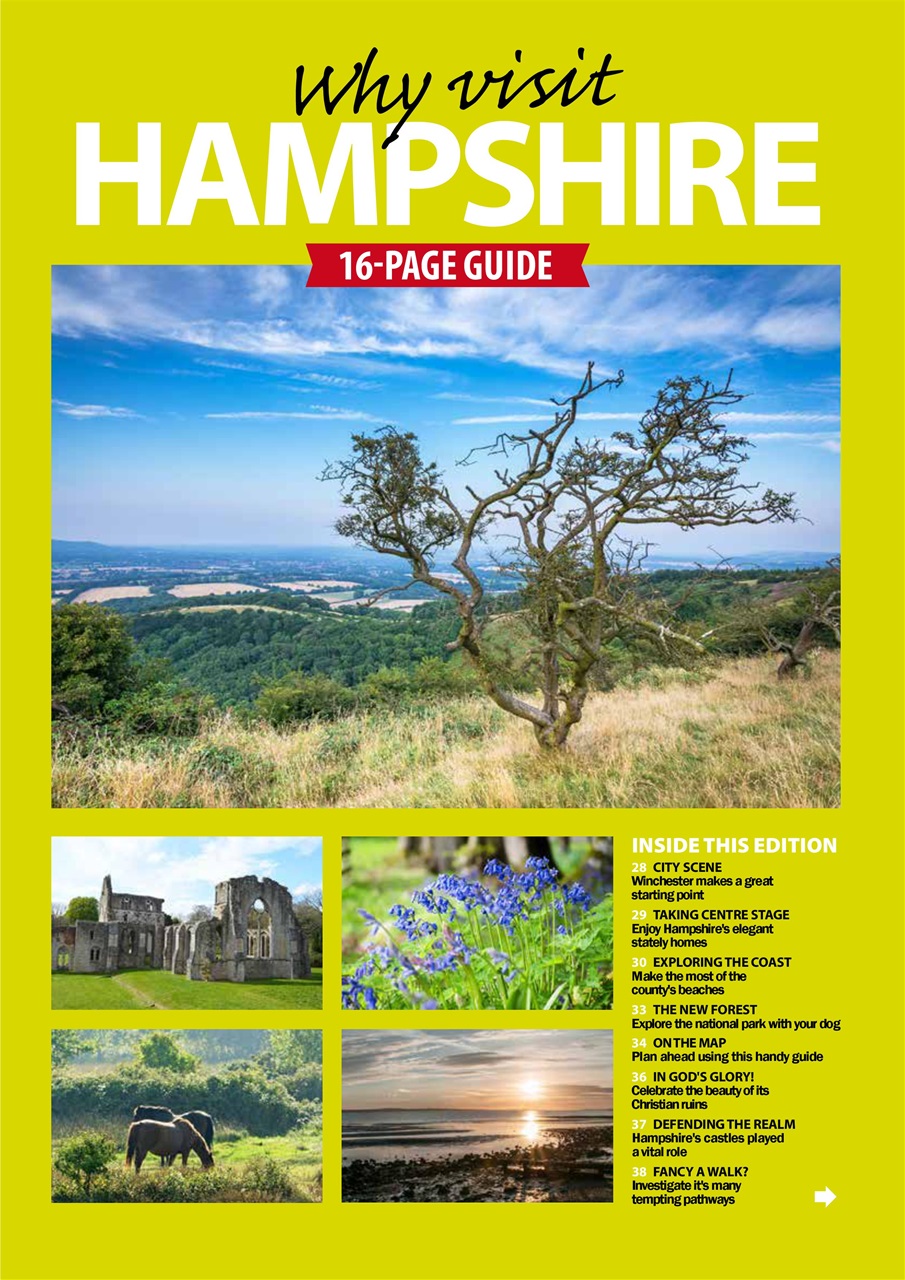 Dog Friendly Preview Pages