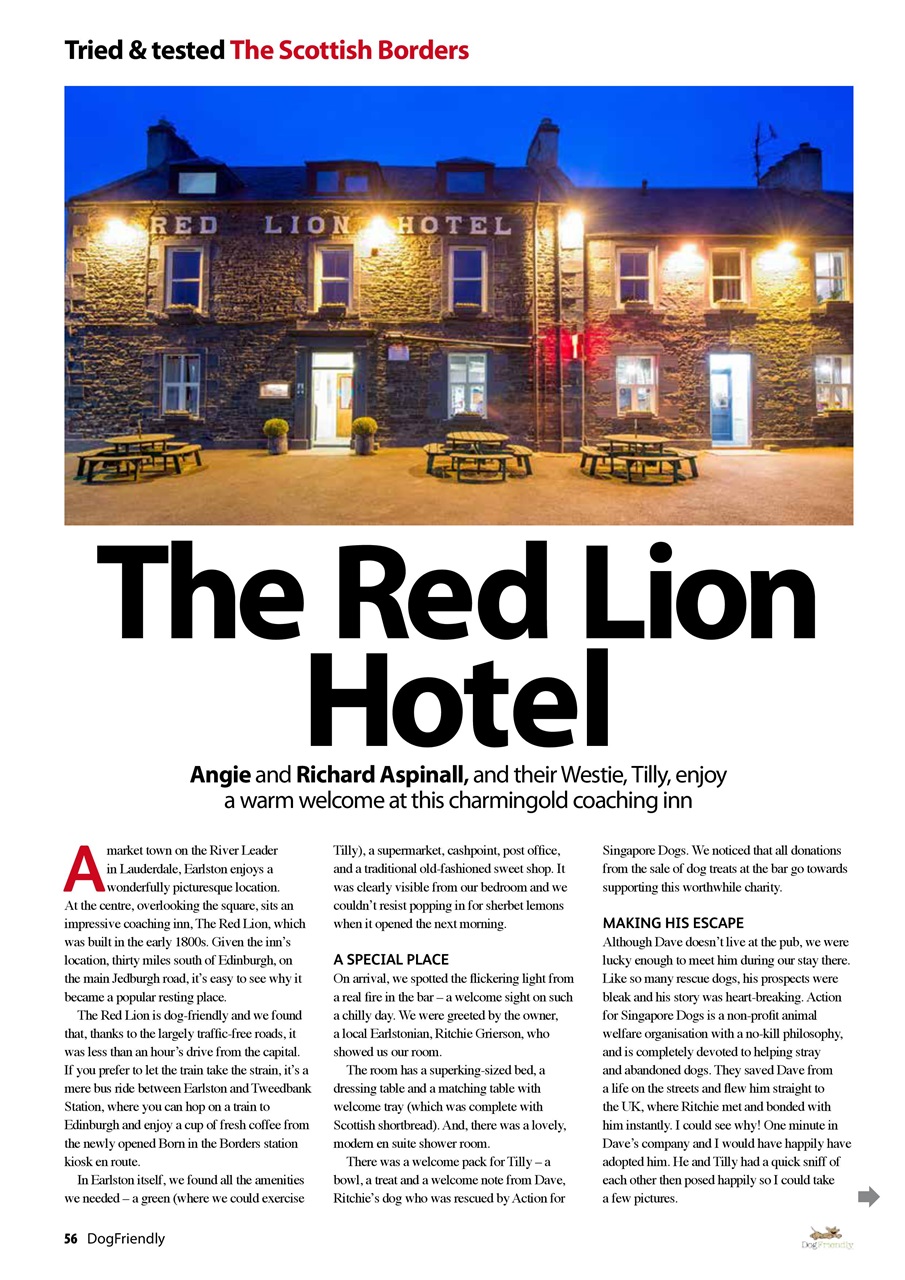 Dog Friendly Preview Pages