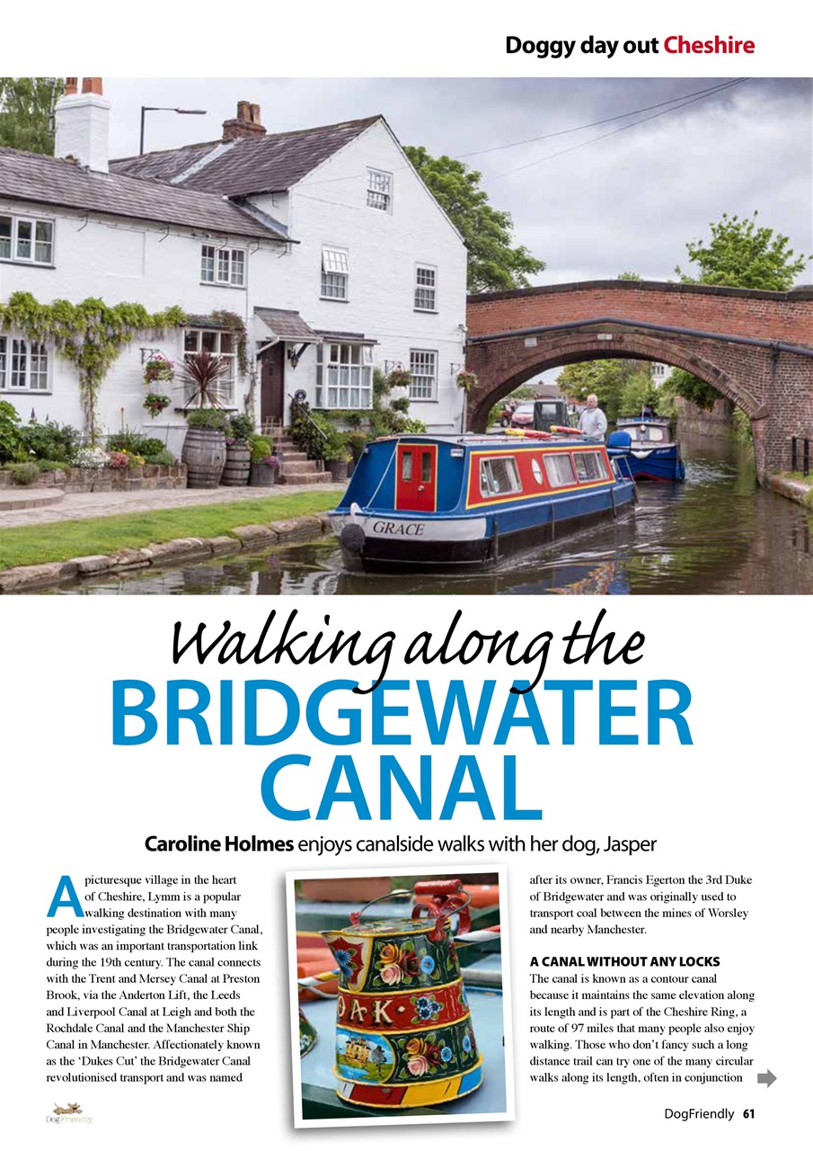 Dog Friendly Preview Pages