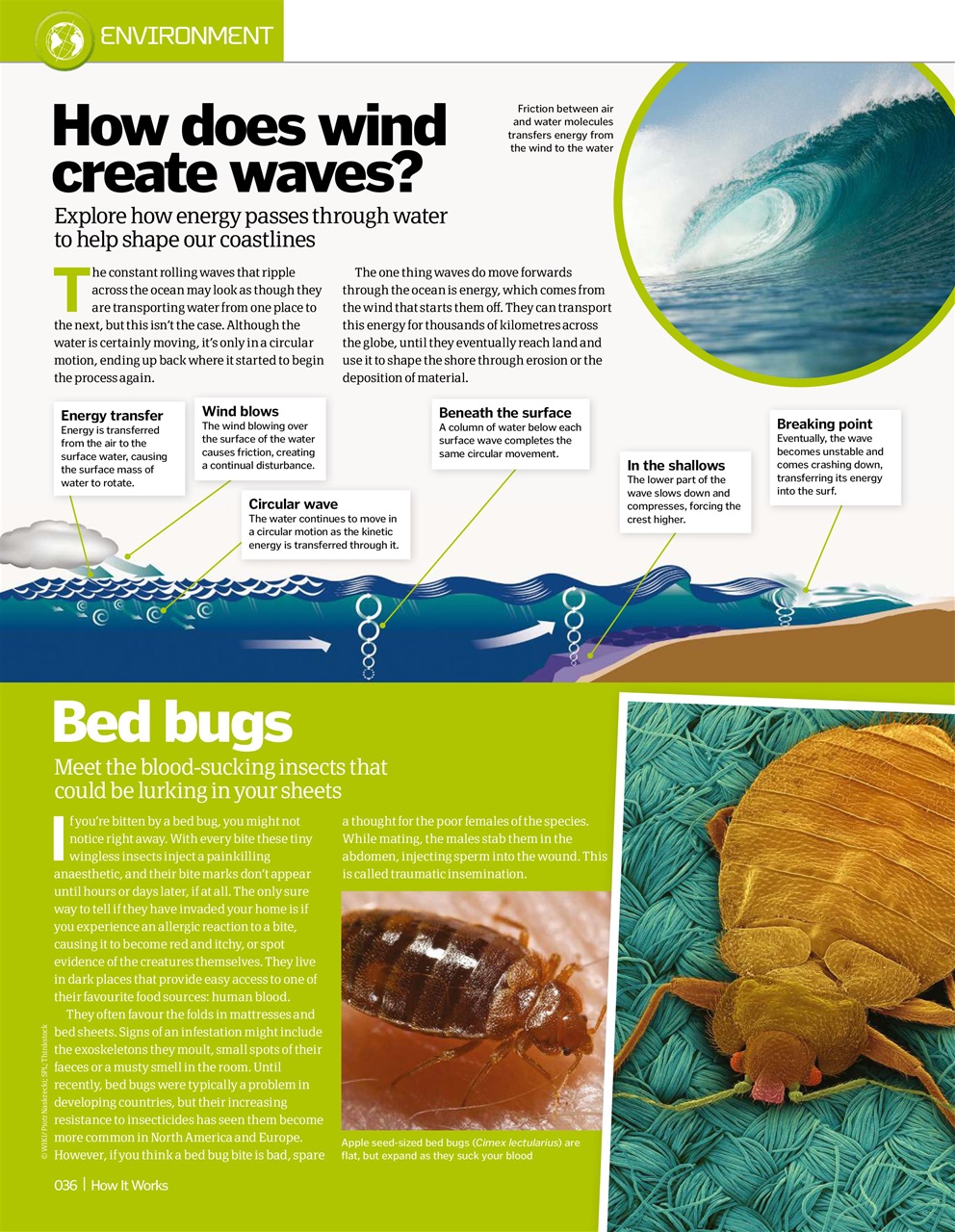 How It Works Preview Pages