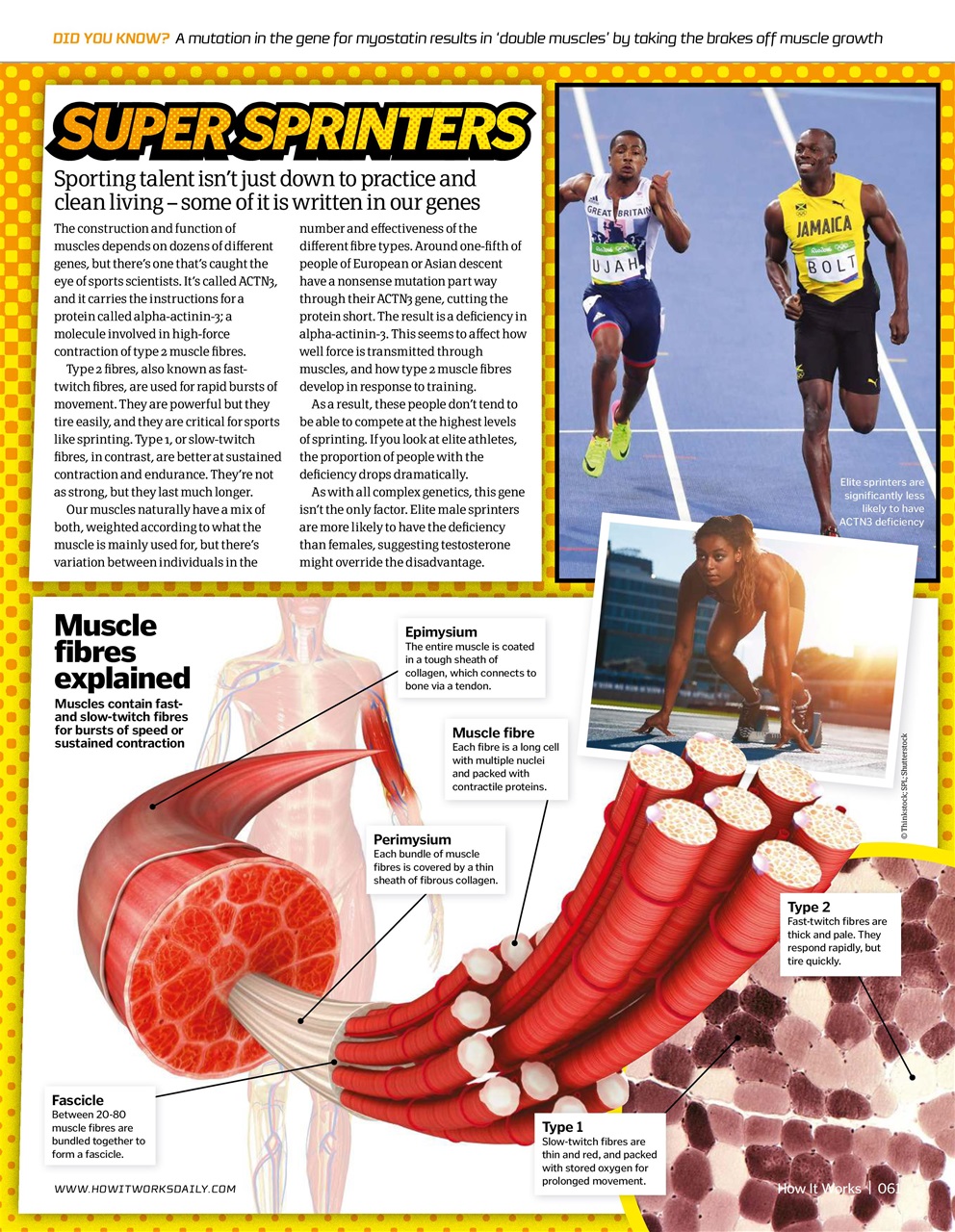 How It Works Preview Pages