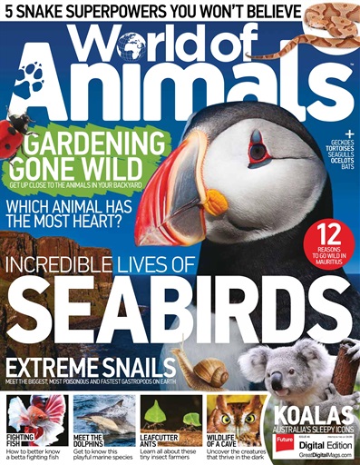 World of Animals issue 