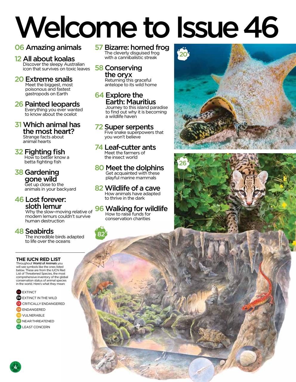 World of Animals Preview Pages
