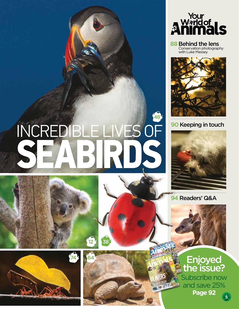 World of Animals Preview Pages