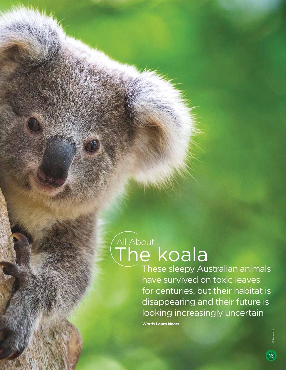 World of Animals Preview Pages
