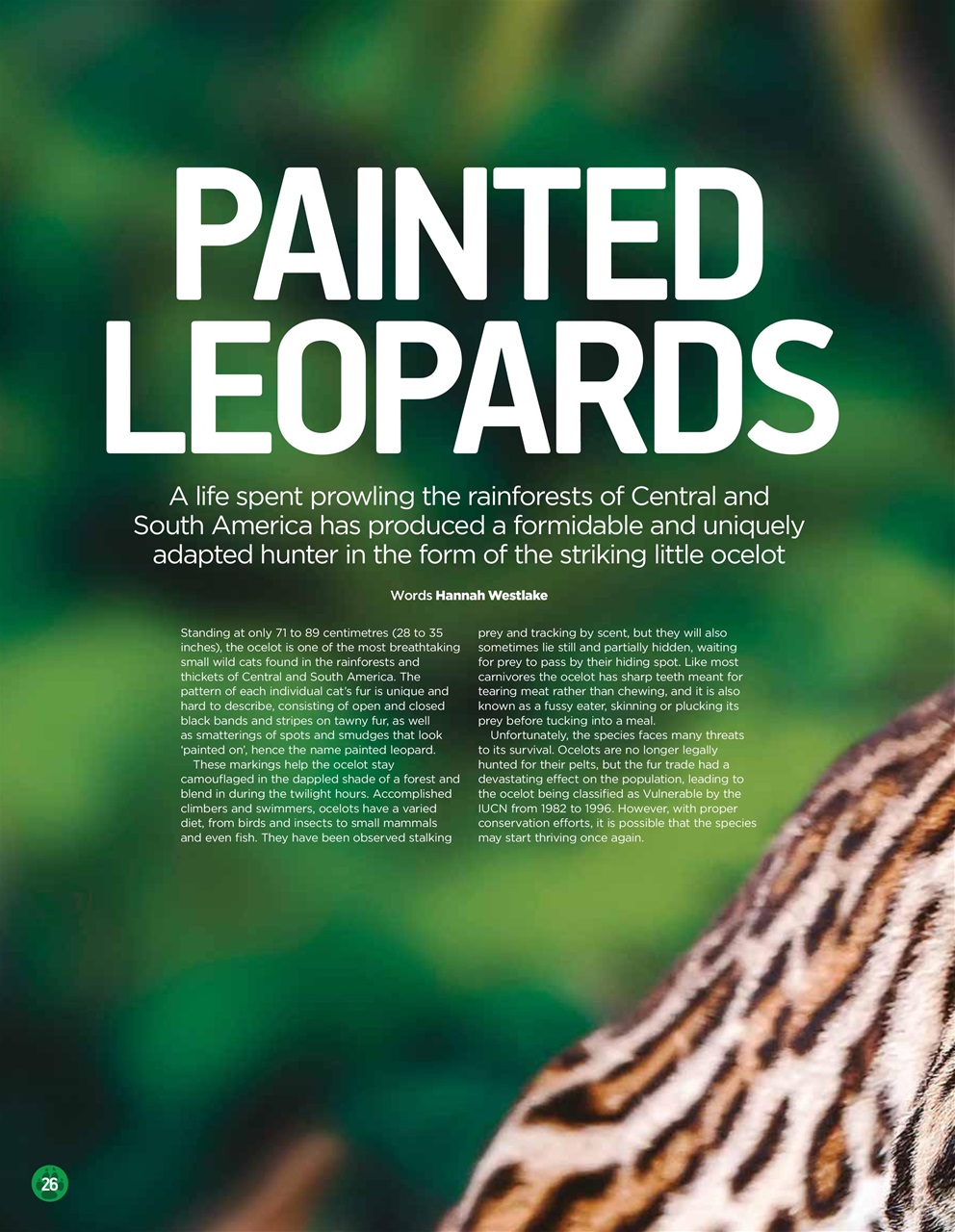 World of Animals Preview Pages