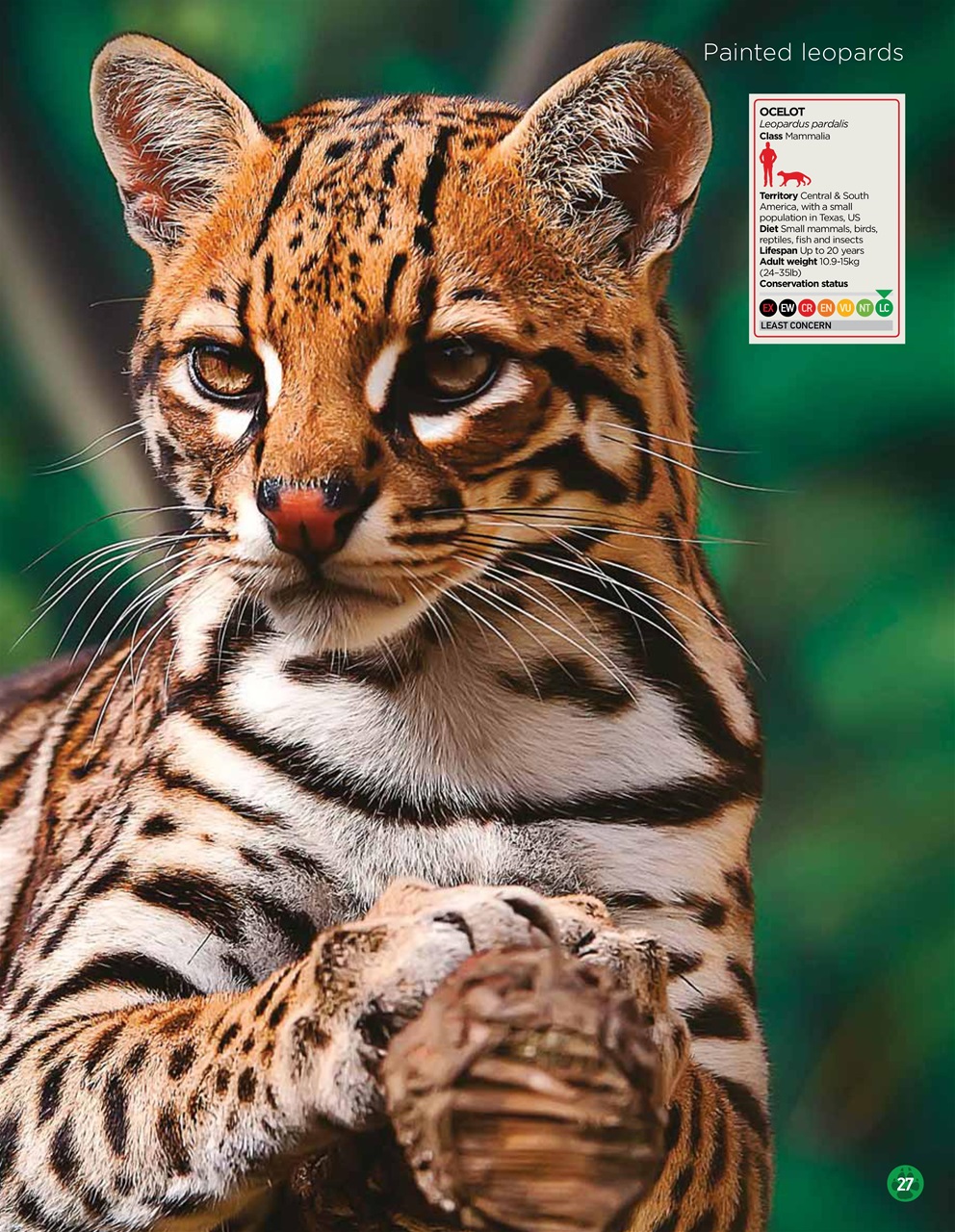 World of Animals Preview Pages