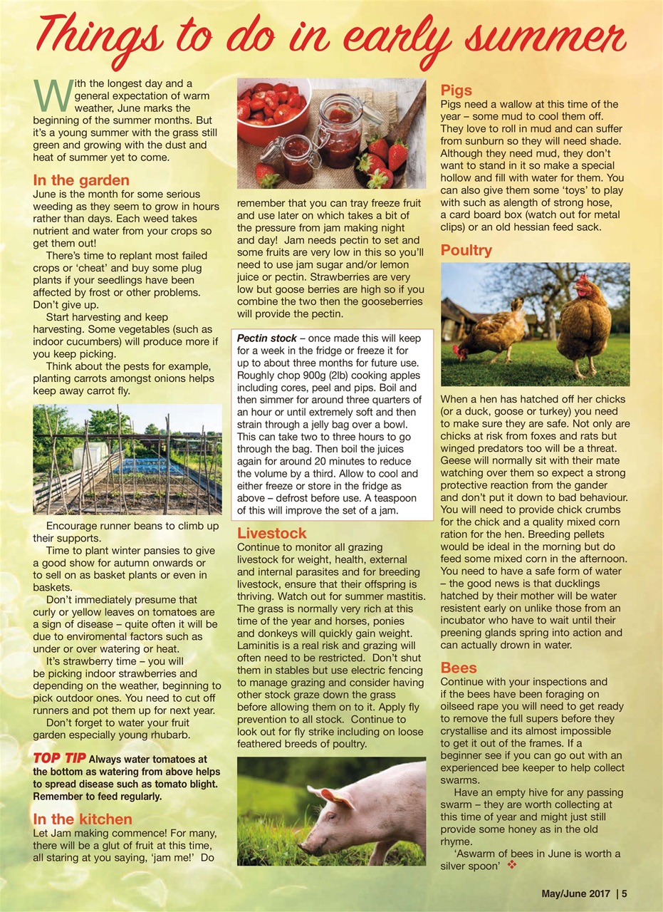 The Smallholder Preview Pages