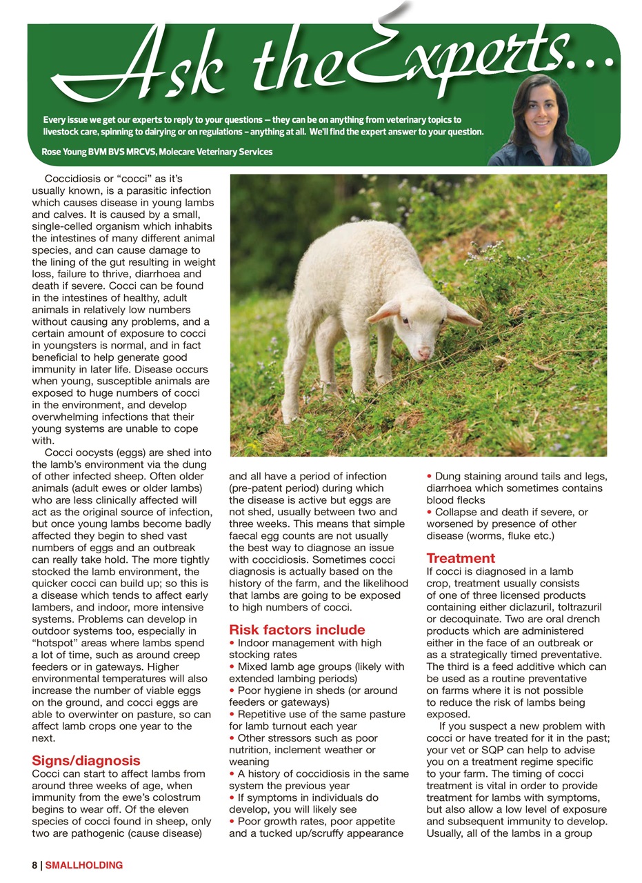 The Smallholder Preview Pages