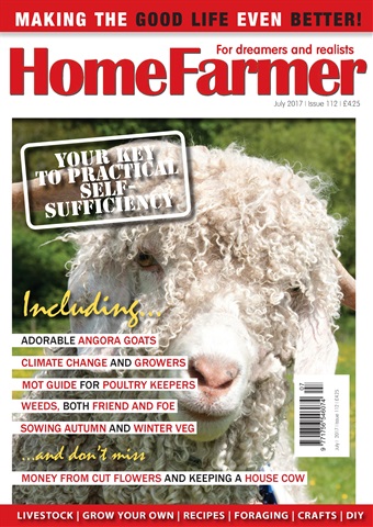 July 2017 issue July 2017