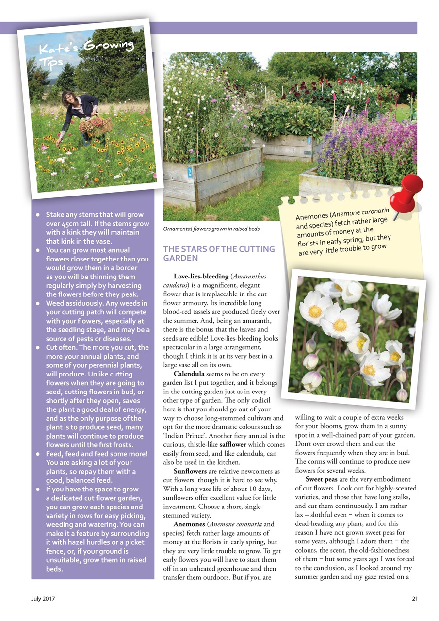 Home Farmer Magazine Preview Pages