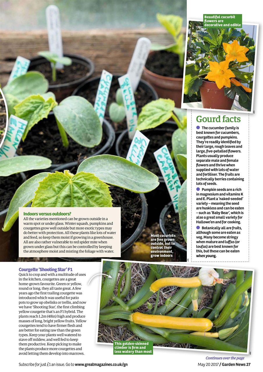Garden News Preview Pages