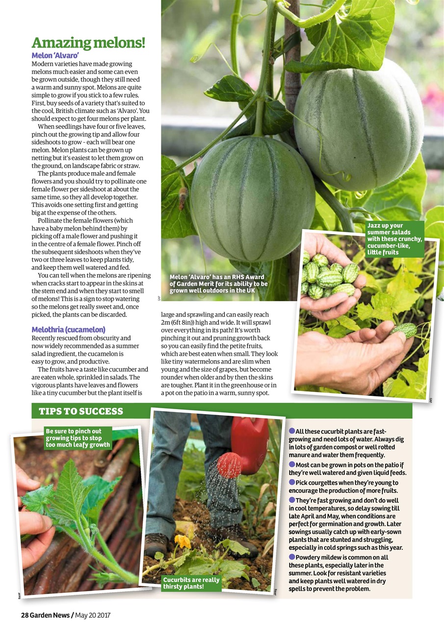 Garden News Preview Pages