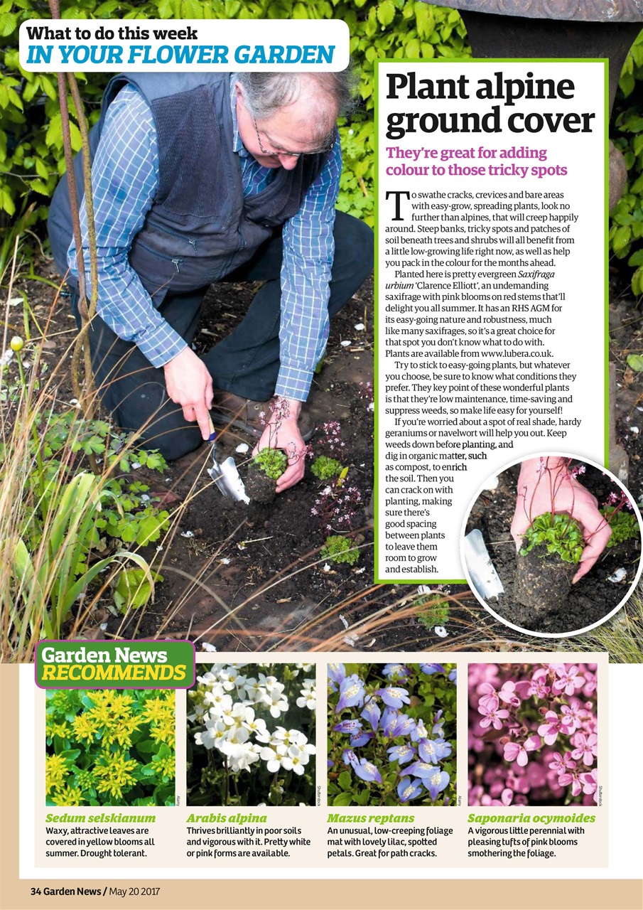 Garden News Preview Pages