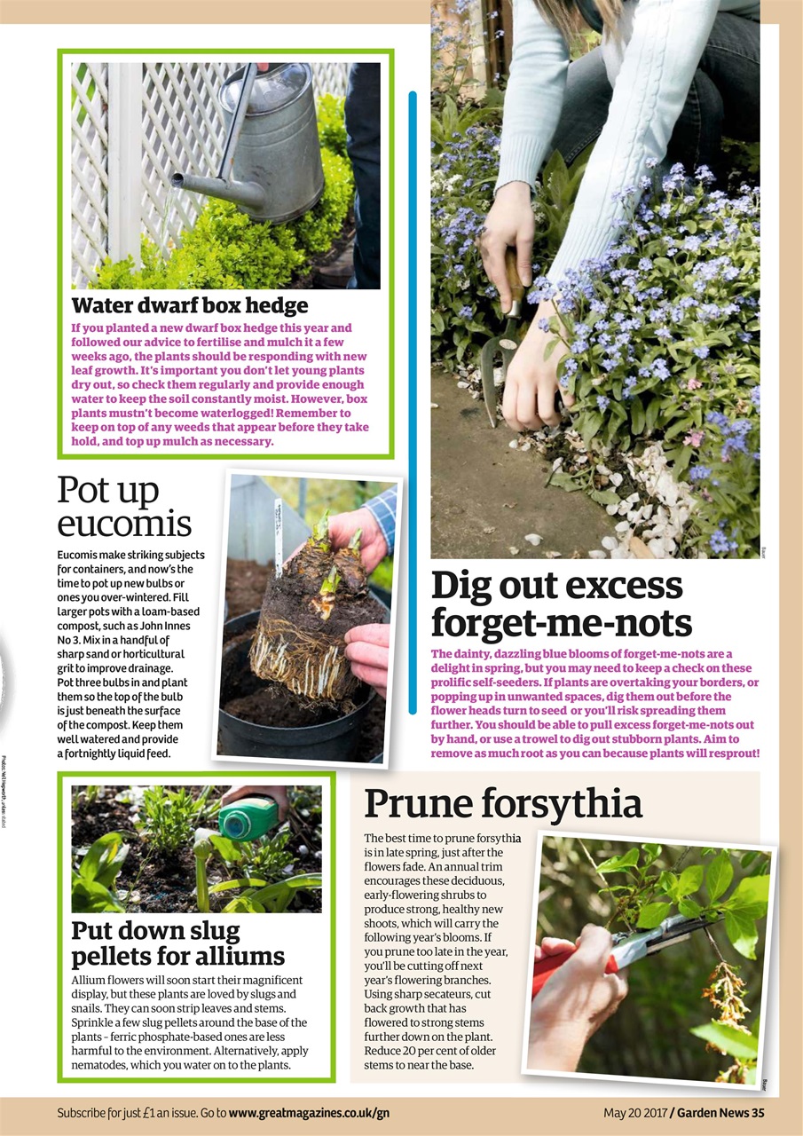 Garden News Preview Pages