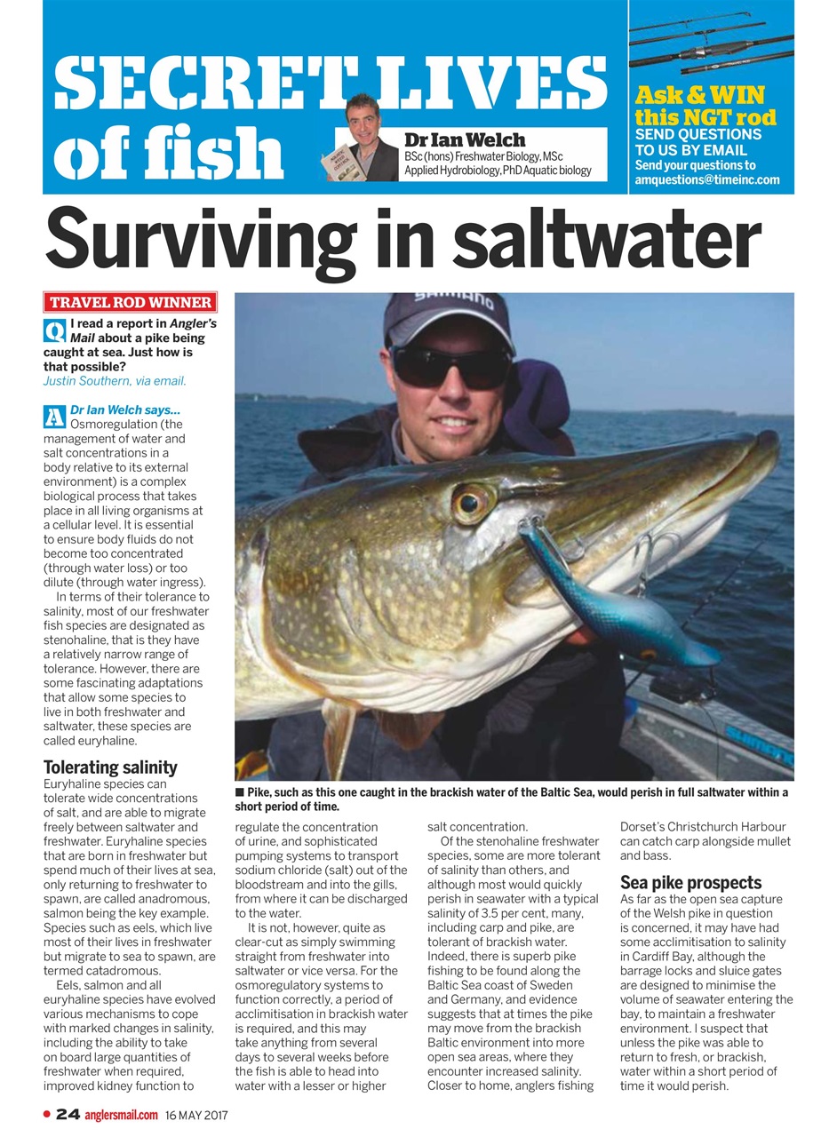 Anglers Mail Preview Pages