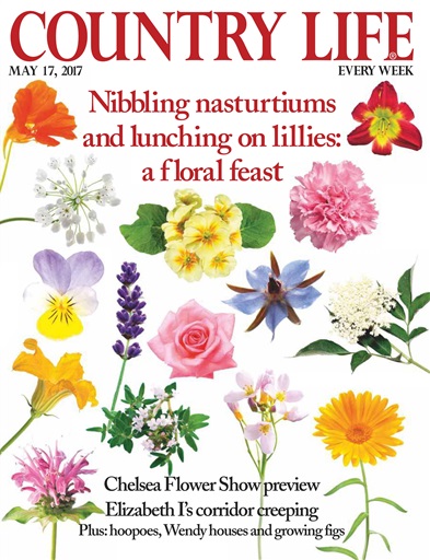 Country Life issue 