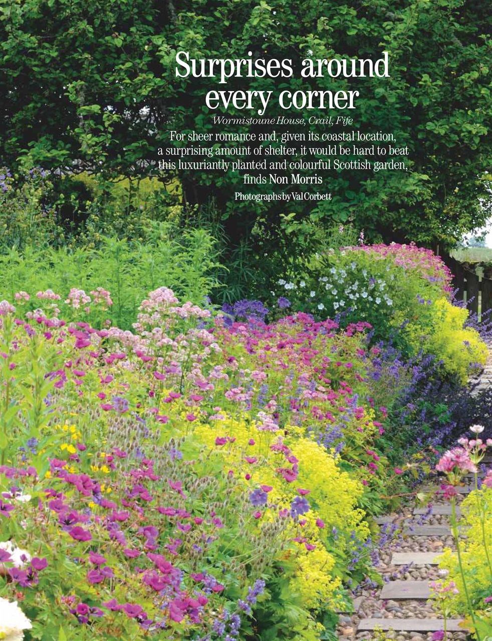 Country Life Preview Pages