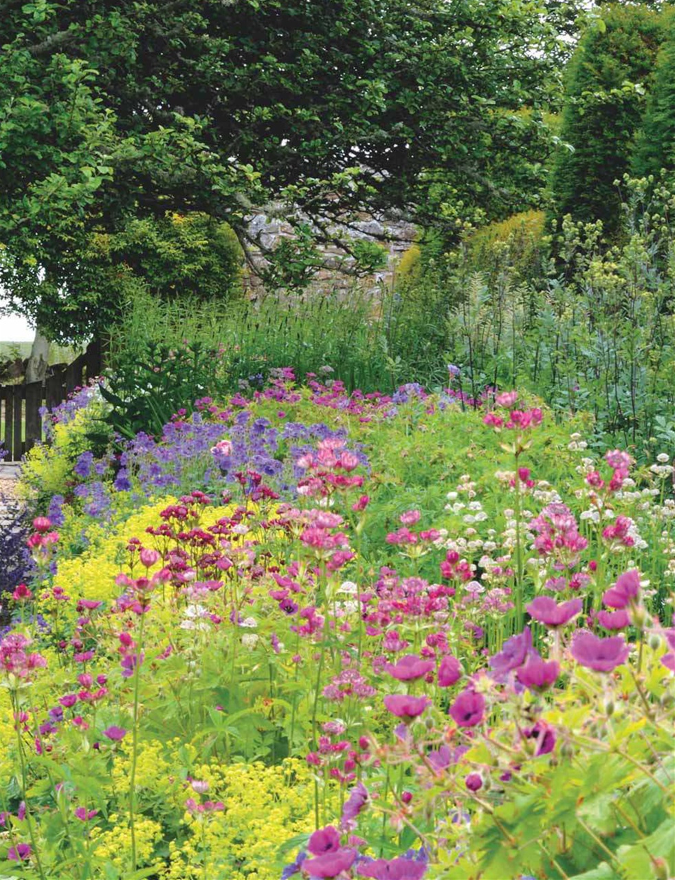 Country Life Preview Pages