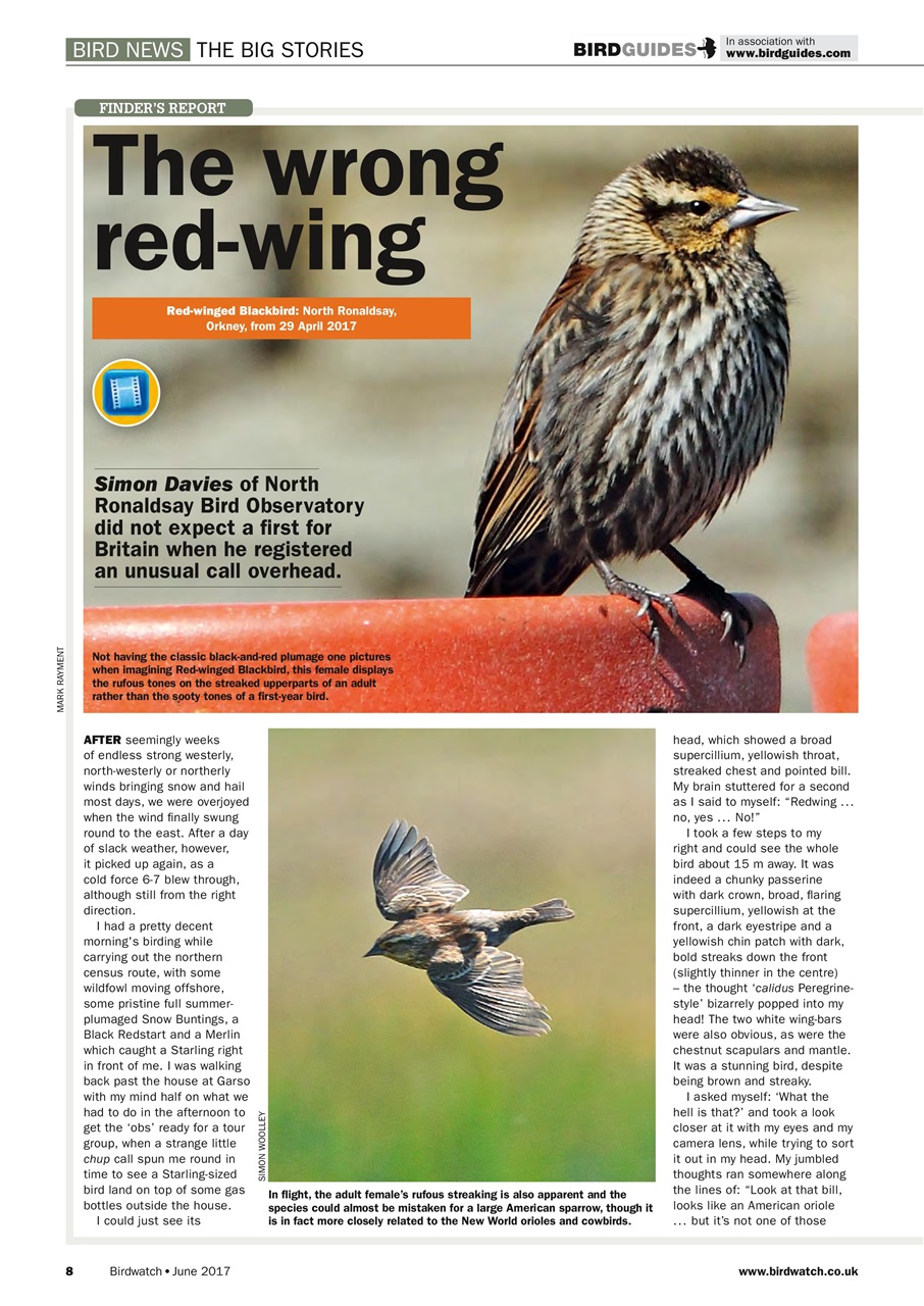 Birdwatch Magazine Preview Pages