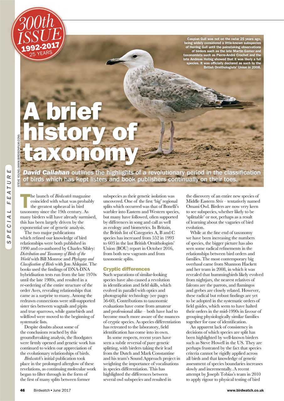 Birdwatch Magazine Preview Pages