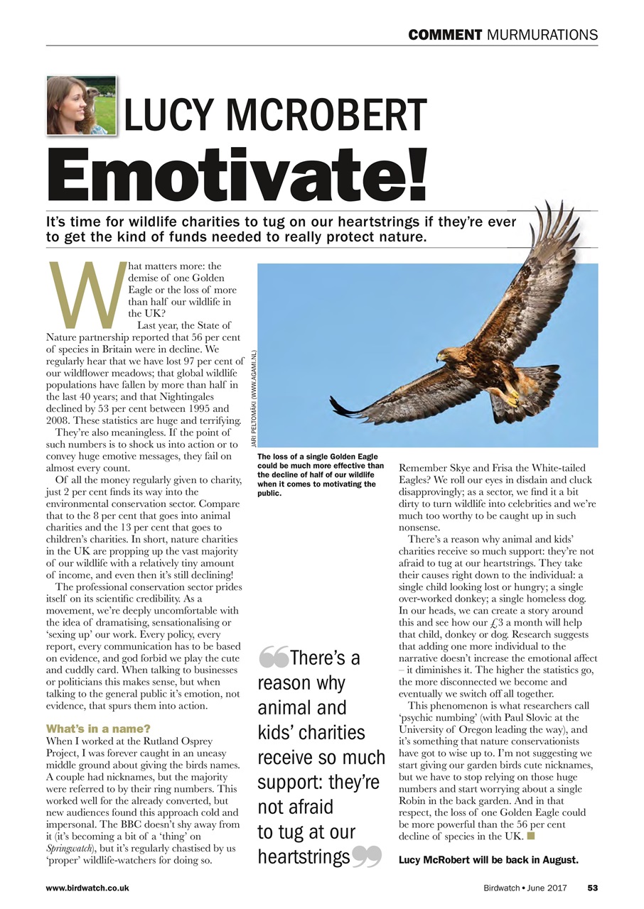Birdwatch Magazine Preview Pages