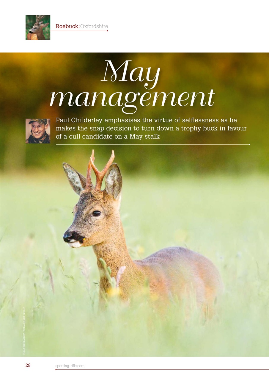 Sporting Rifle Preview Pages