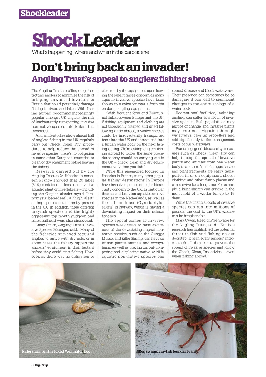 Big Carp Magazine Preview Pages