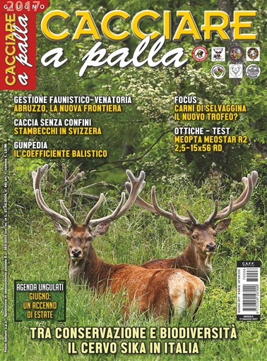 Caccia Magazine issue 