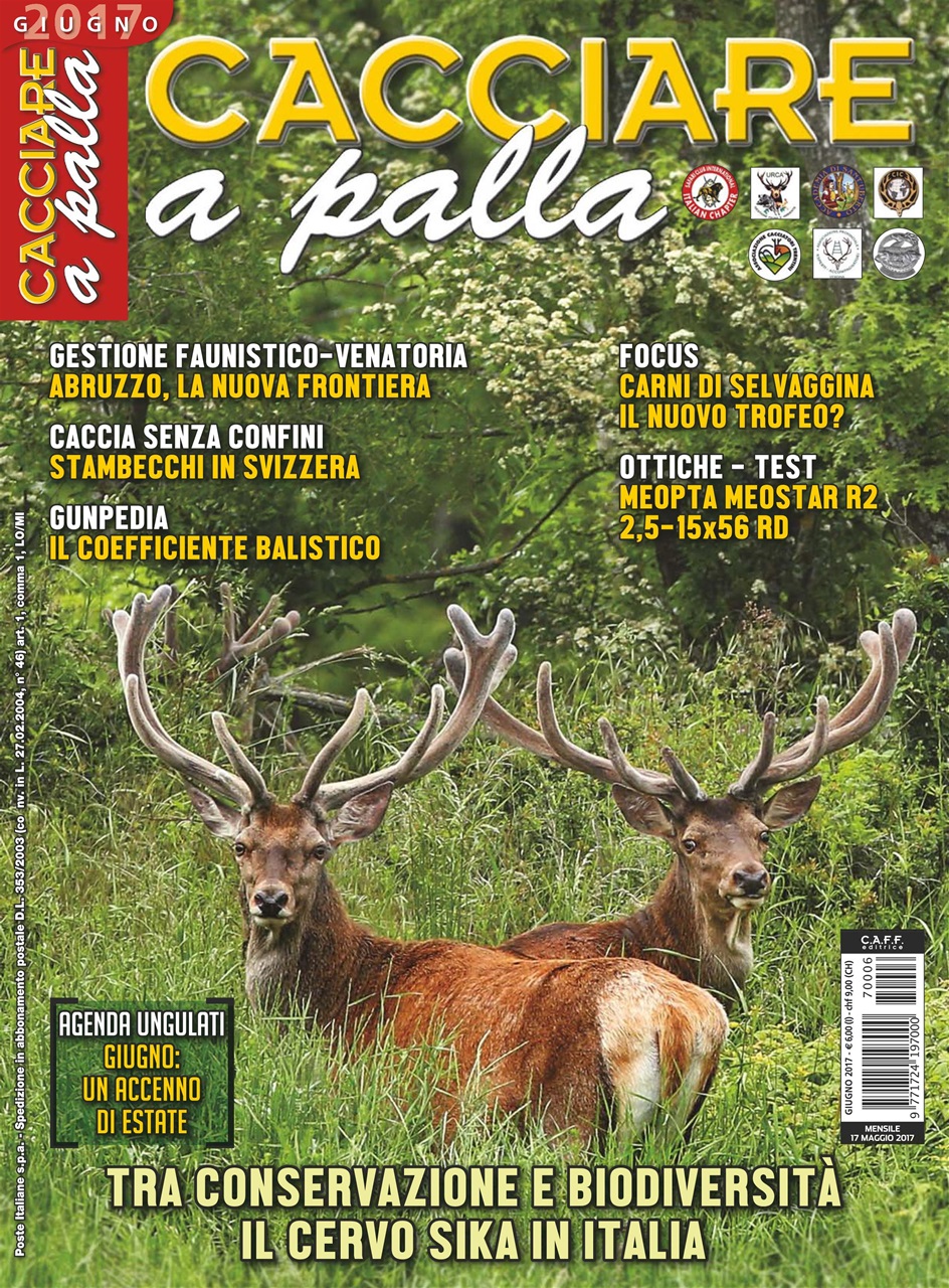 Caccia Magazine Preview Pages
