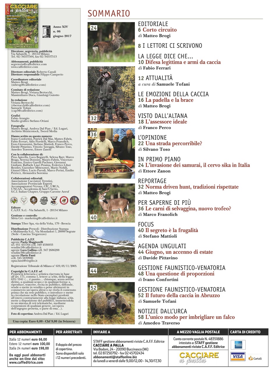 Caccia Magazine Preview Pages