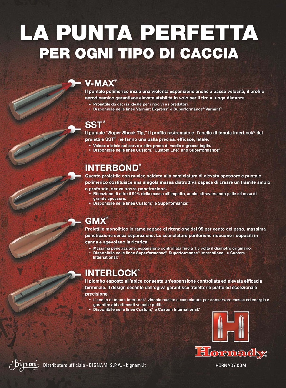 Caccia Magazine Preview Pages