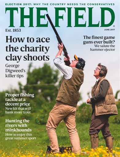 The Field issue 