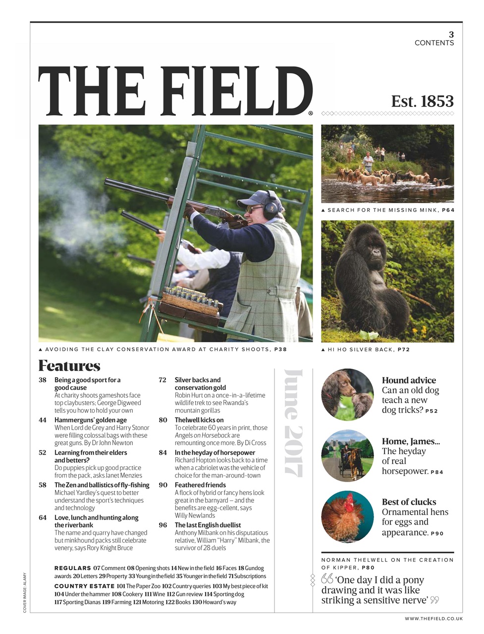 The Field Preview Pages