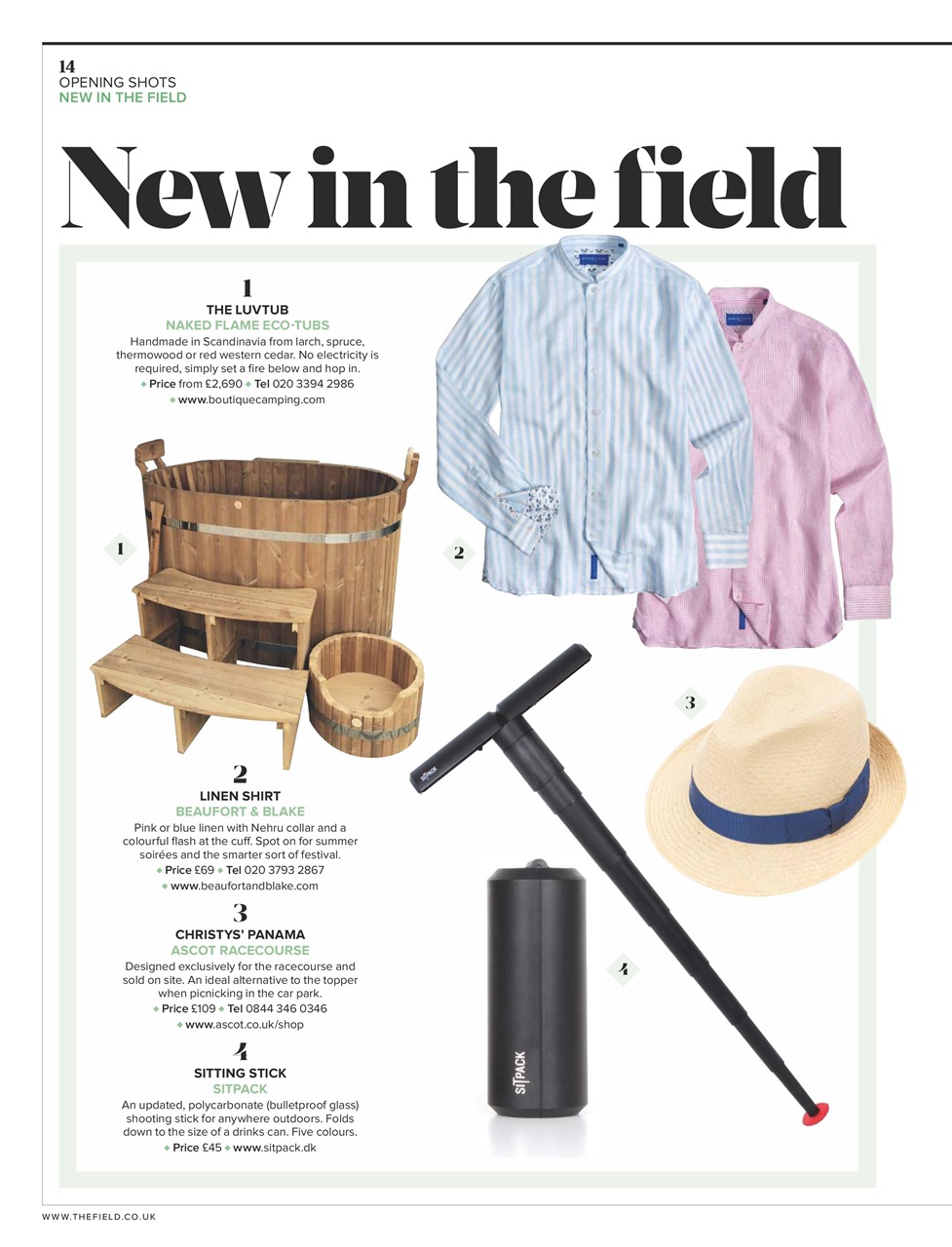 The Field Preview Pages