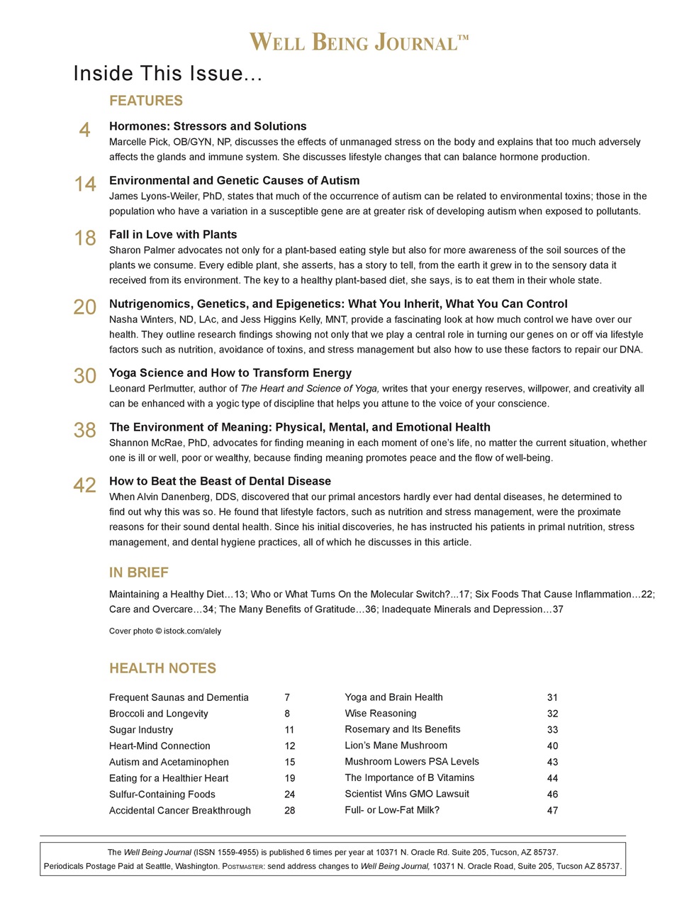 Well Being Journal Preview Pages