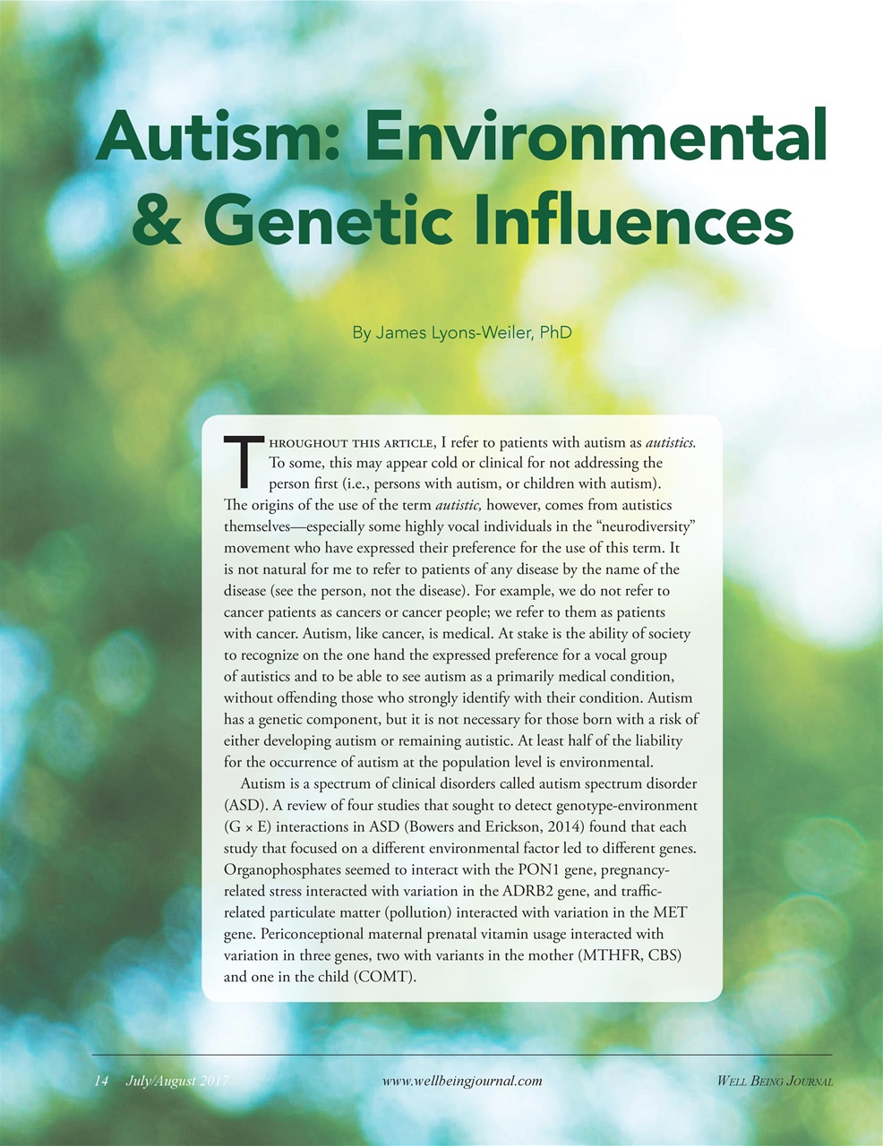 Well Being Journal Preview Pages