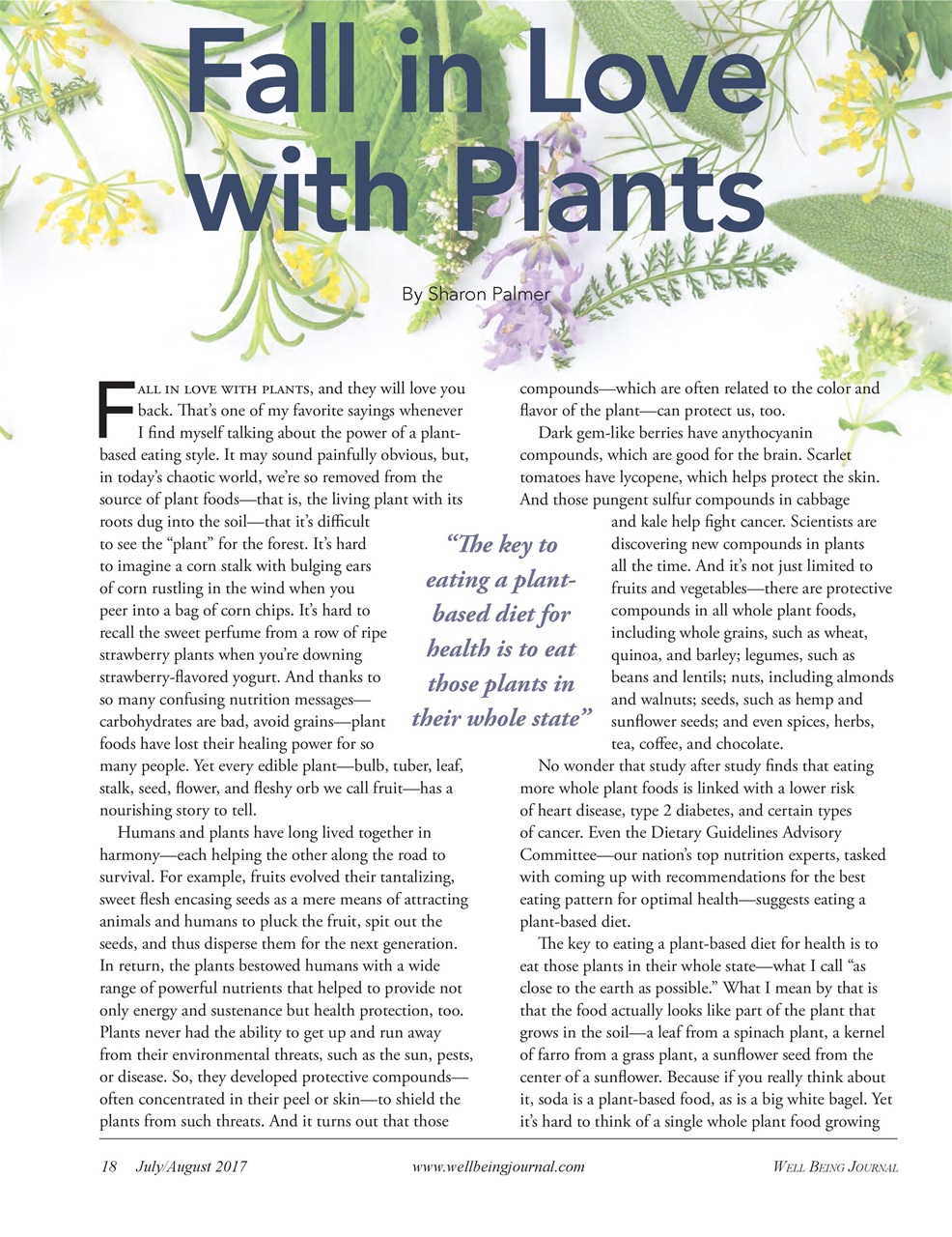 Well Being Journal Preview Pages