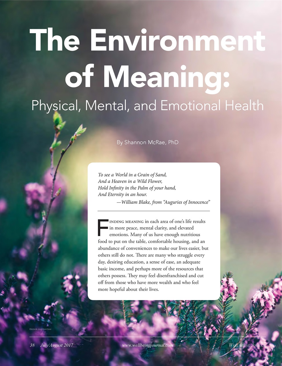 Well Being Journal Preview Pages