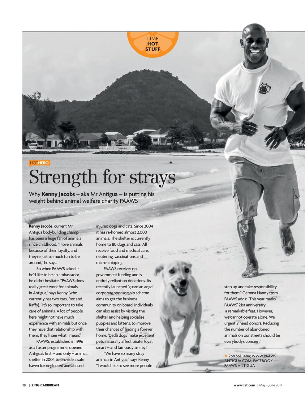 ZiNG Caribbean Preview Pages