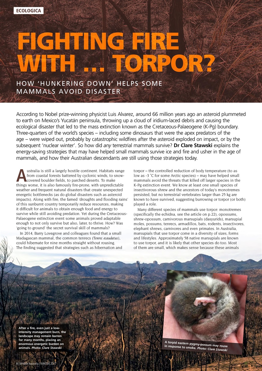 Wildlife Australia Preview Pages