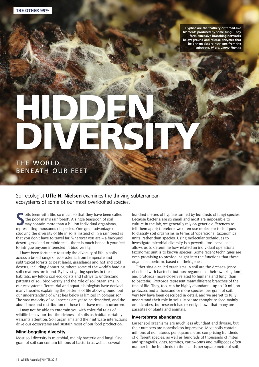 Wildlife Australia Preview Pages