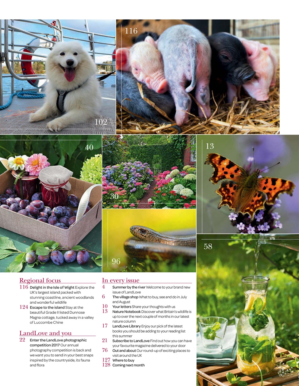 LandLove Magazine Preview Pages