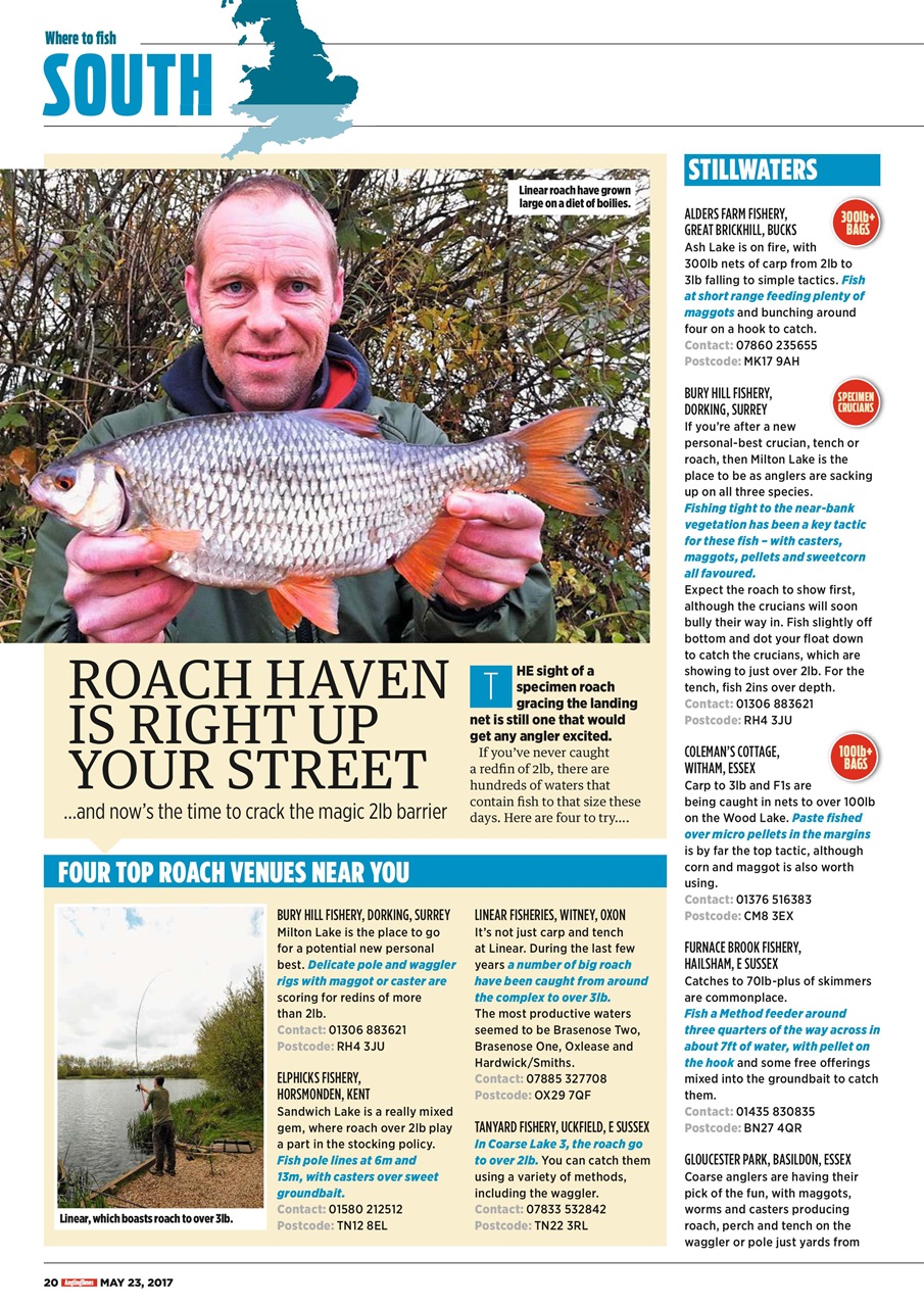 Angling Times Preview Pages