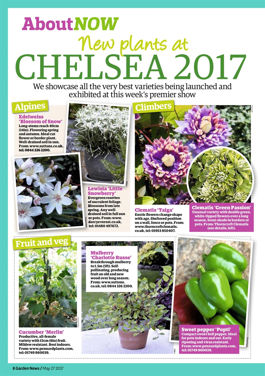 Garden News Preview Pages
